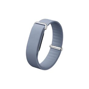 Google Fitbit Air Elevated Modern Band - Moonstone