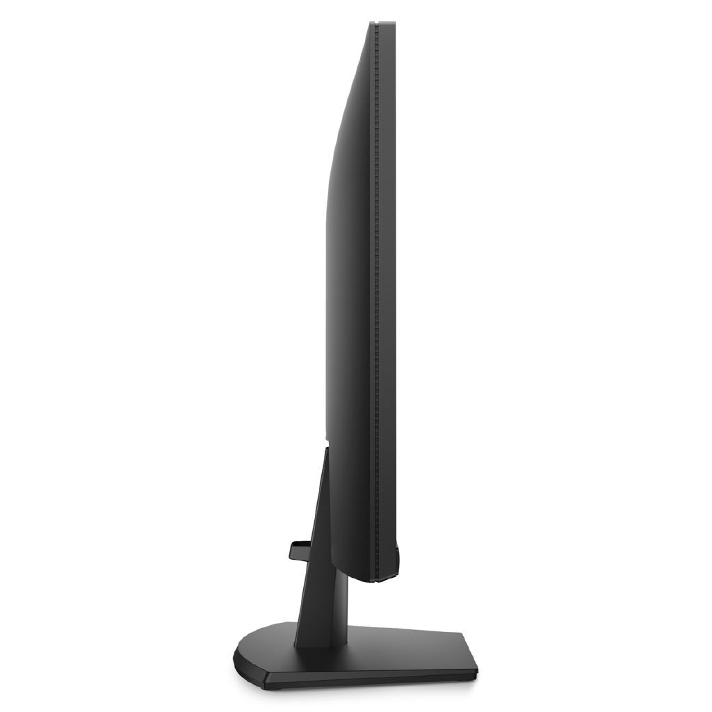 Dell 24