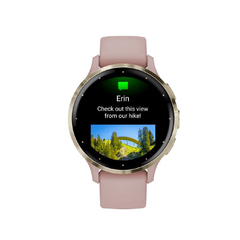 Garmin Venu 3S Dust Rose / Soft Gold, , hi-res