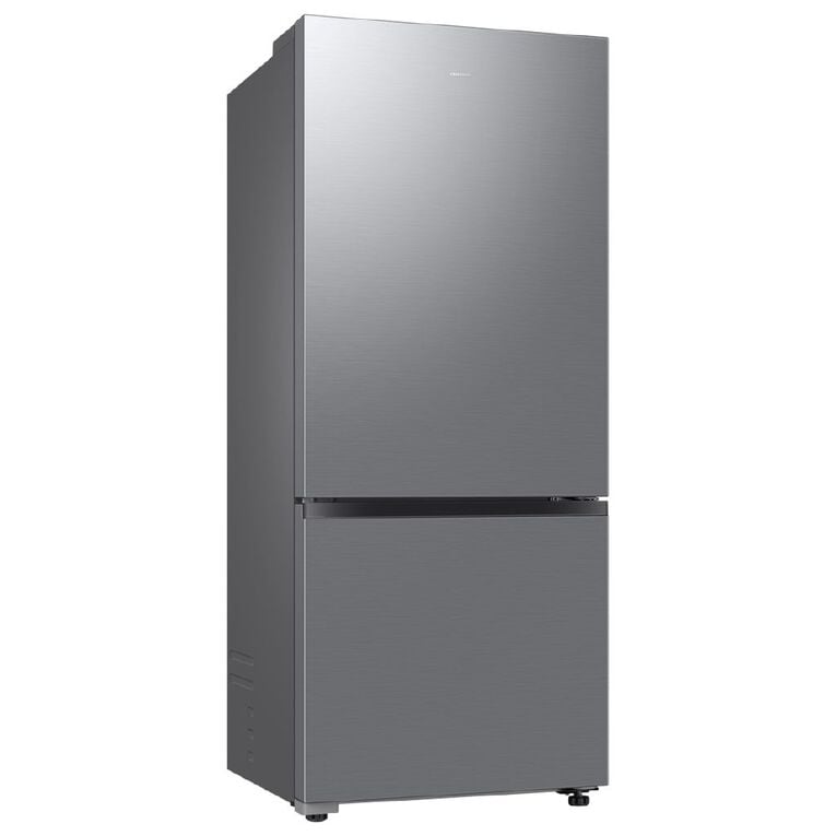 Samsung 427L Barosa Bottom Mount Fridge Freezer (SRL4200S) - Silver, , hi-res