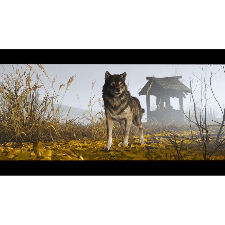 PS5 Ghost of Yotei, , hi-res