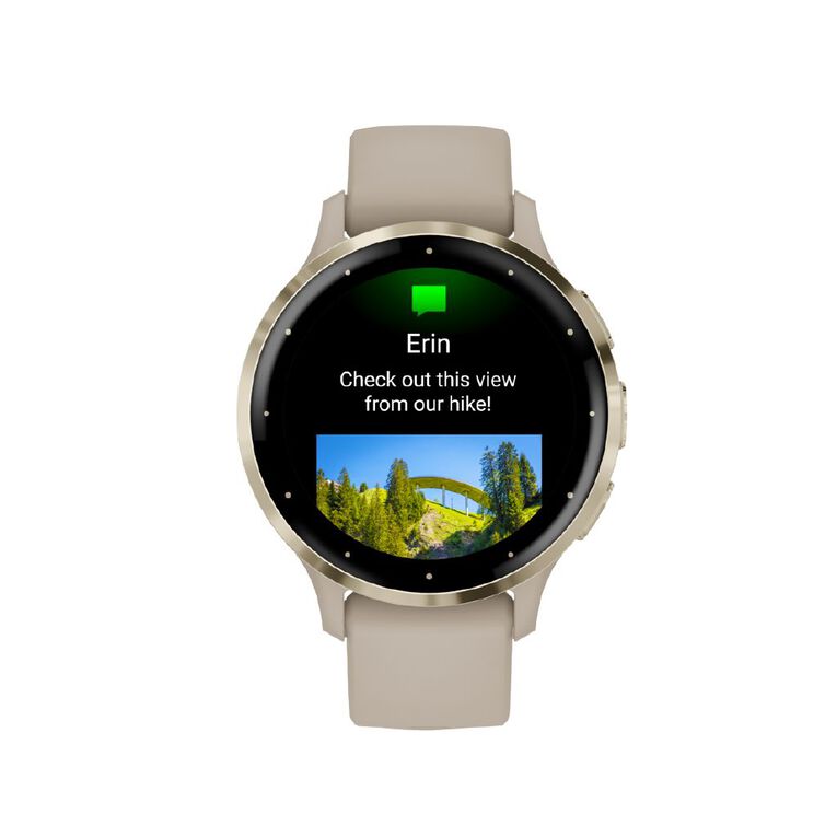 Garmin Venu 3S French Gray / Soft Gold, , hi-res