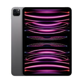 Apple iPad Pro 11 inch Wi-Fi 2TB 4th Gen - Space Grey