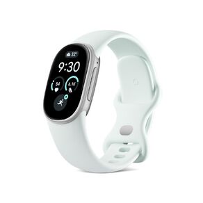 Google Fitbit Edge Satin Silver Aluminium Case / Fog Active Band