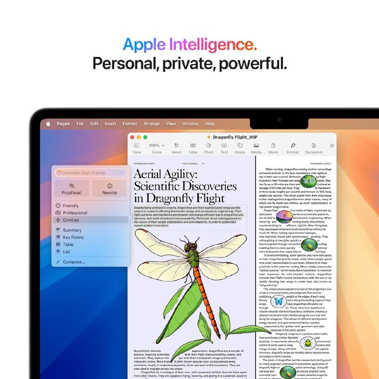 Apple MacBook Air 13-inch with M4 Chip 16GB/256GB 10 Core CPU 8 Core GPU - Silver, , hi-res