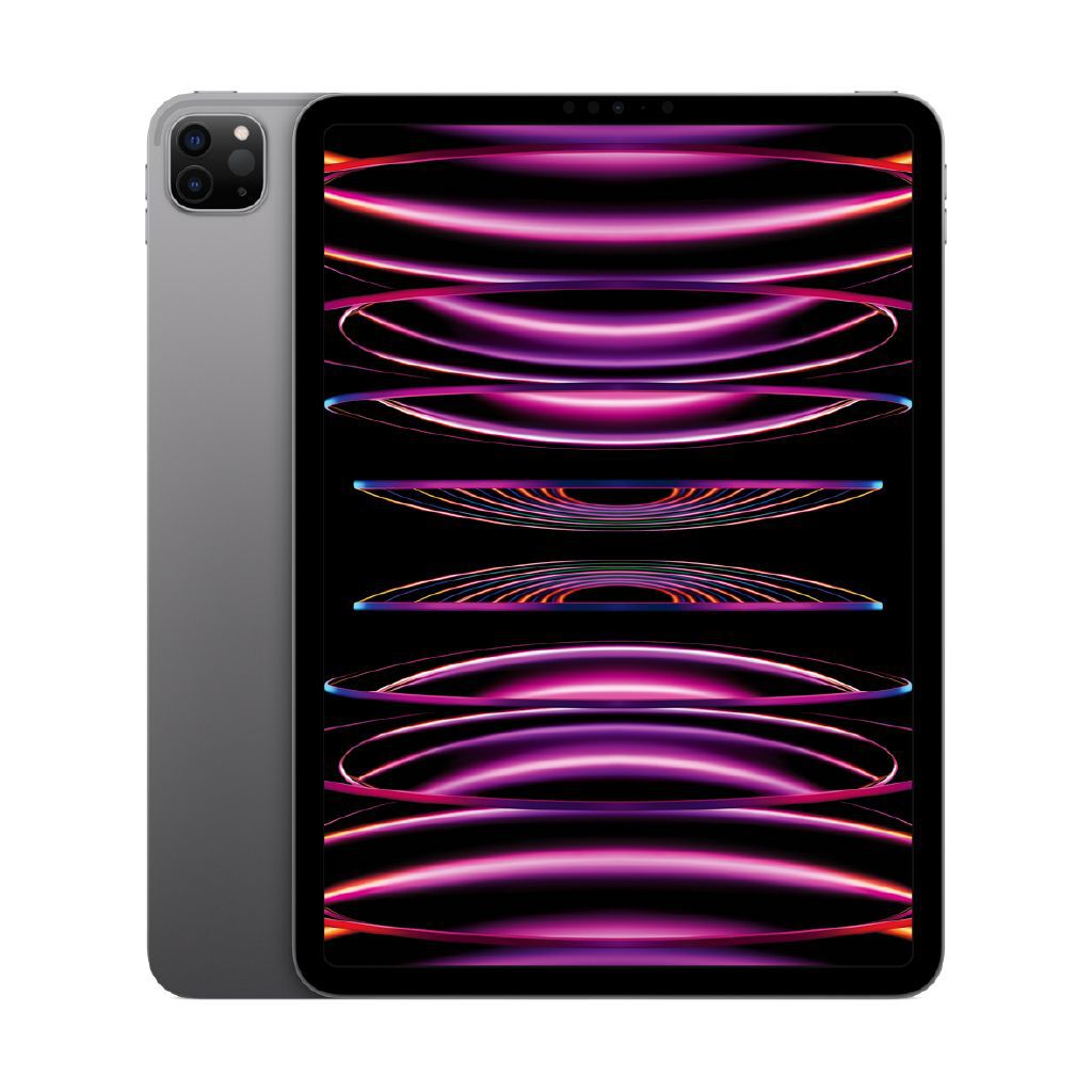 ≪超目玉★12月≫ iPad Apple Pro Noel - Grey Space - Gen 4th 1TB Wi-Fi inch 11 iPad本体