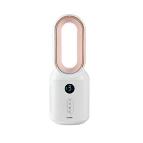 Goldair Desk Fan
