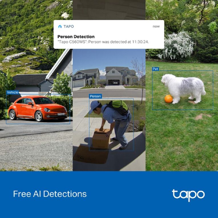 TP-Link Tapo C560WS Outdoor Pan/Tilt Security Wifi Camera, , hi-res