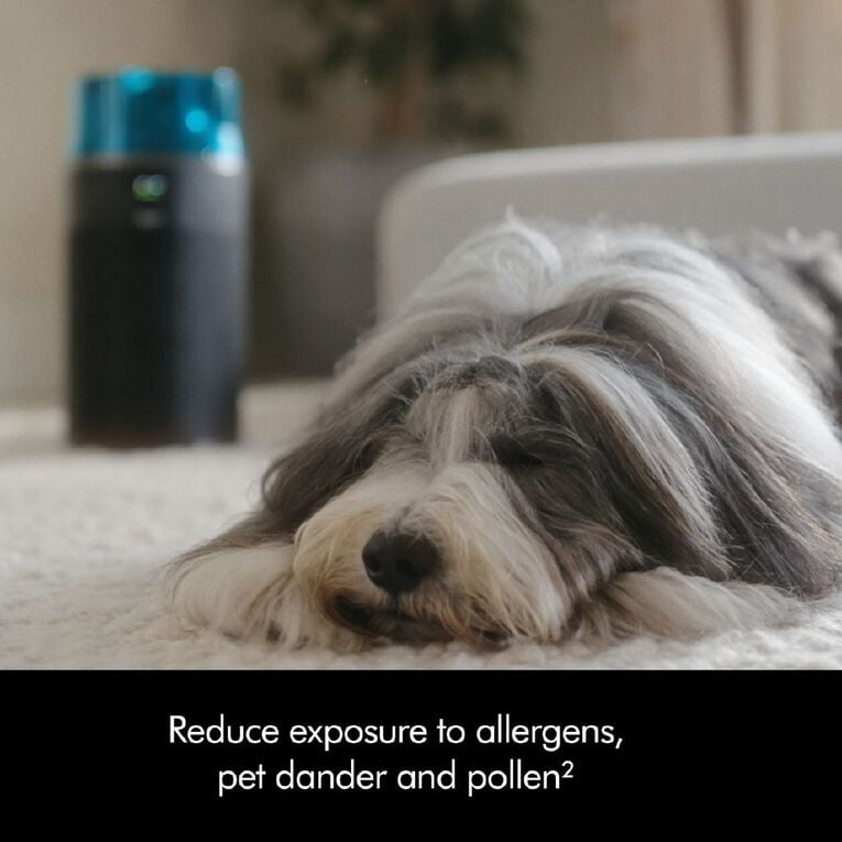 Dyson HushJet Purifier Compact, , hi-res