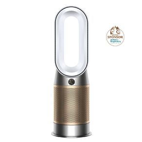 Dyson Purifier Hot+Cool HP2 De-Nox