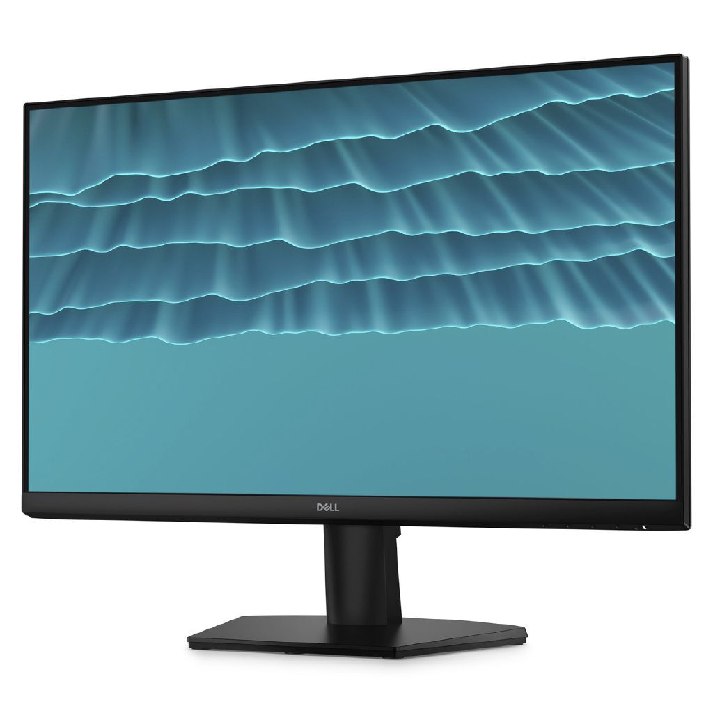 Dell 24