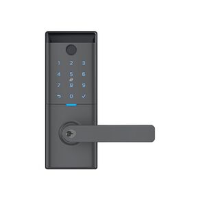 Schlage Ascent Smart Entrance Lever Lock - Graphite