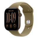 Apple Watch Series&nbsp;12
