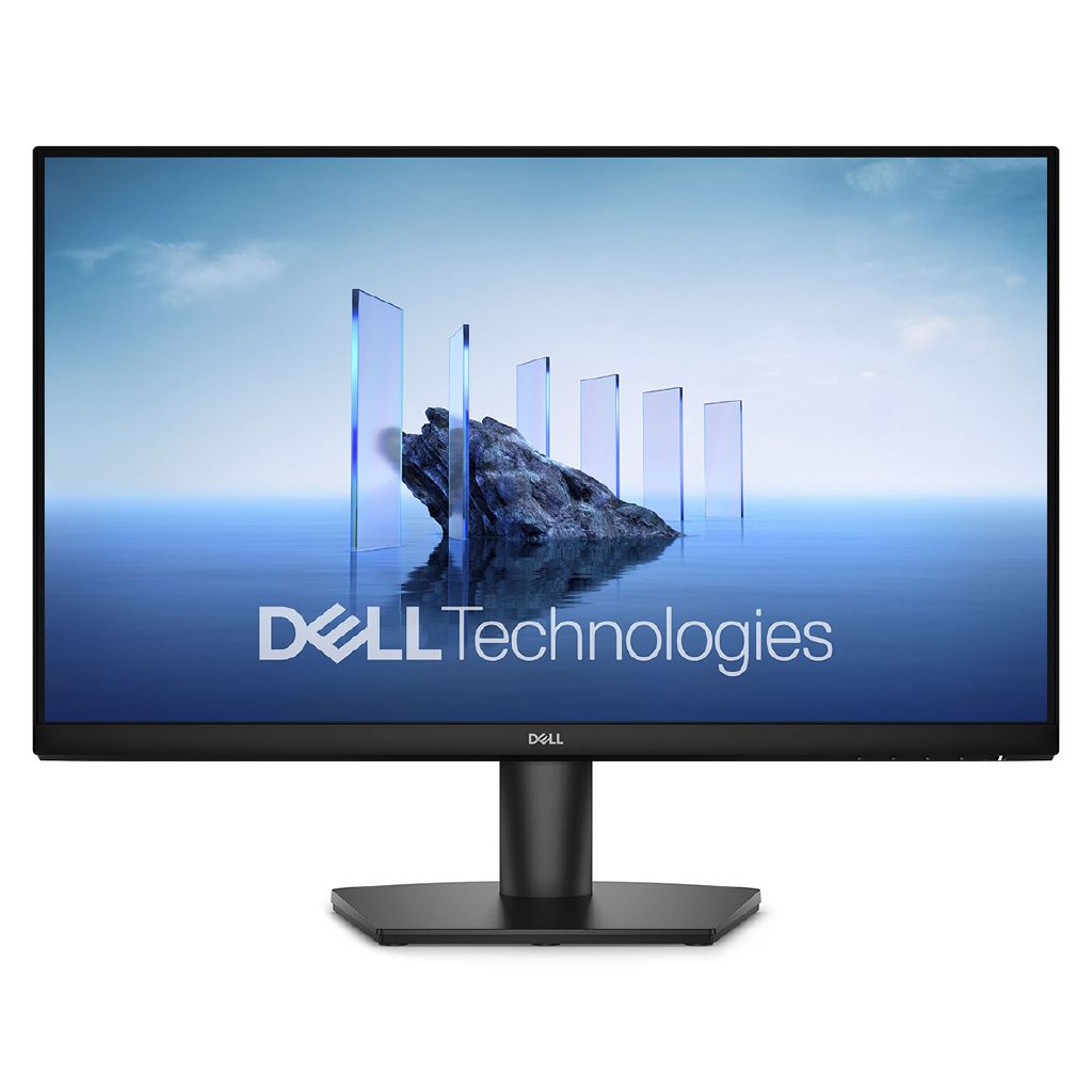 Dell 24